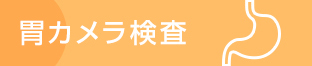 胃カメラ検査